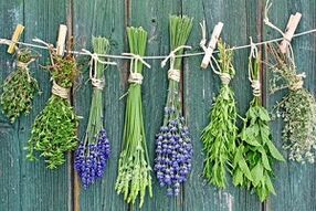 herbs to treat nail fungus